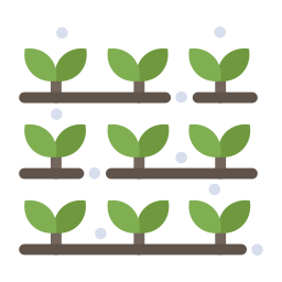 plantar Ícone