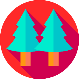 Pine icon