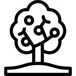 Fruit tree icon