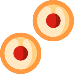 Longan icon