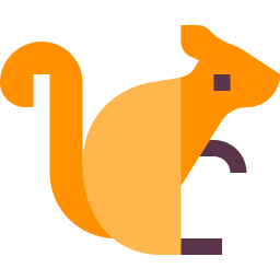 eichhörnchen icon