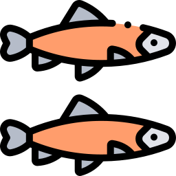 Salmon icon