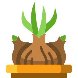 Onion icon