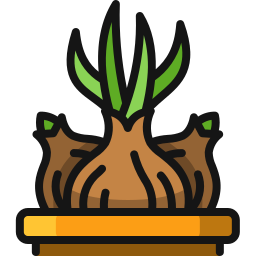 Onion icon