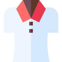 Shirt icon