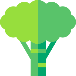 Broccoli icon