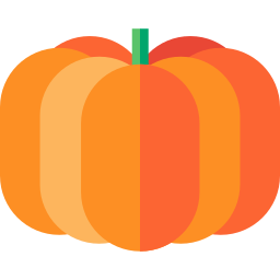 Pumpkin icon