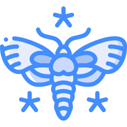 Moth icon