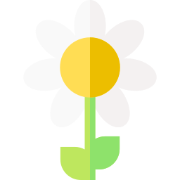 Daisy icon