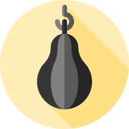 boxsack icon