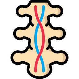 rückenmark icon