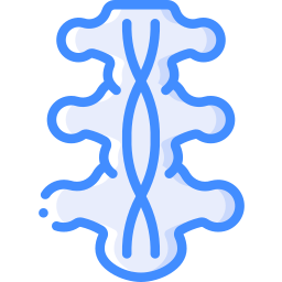 Spinal cord icon