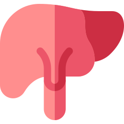 Liver icon