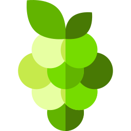 Grapes icon