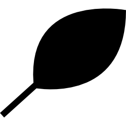 Leaf icon