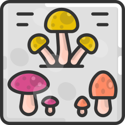 Mushroom icon