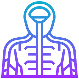 Human body icon