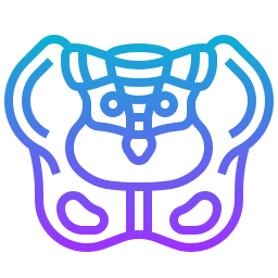 Pelvis icon