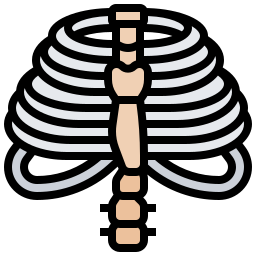 thorax icon