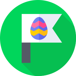 Flag icon