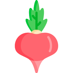 Radish icon