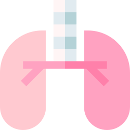 Lungs icon