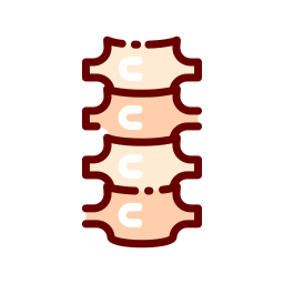 coluna vertebral Ícone