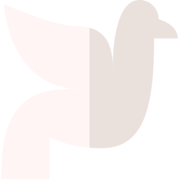 Pigeon icon