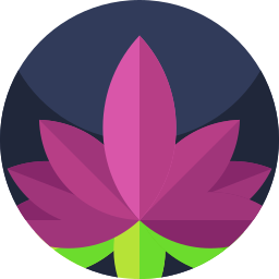 lotus blume icon