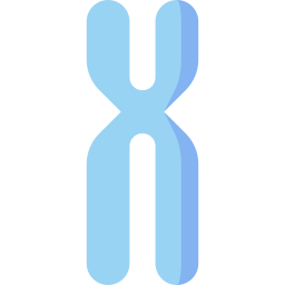 chromosome Icône