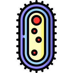 Bacteria icon