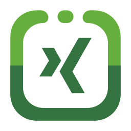 Xing icon