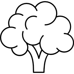 Broccoli icon