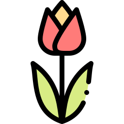 tulpe icon