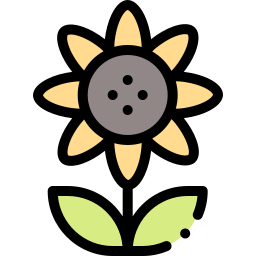 Sunflower icon