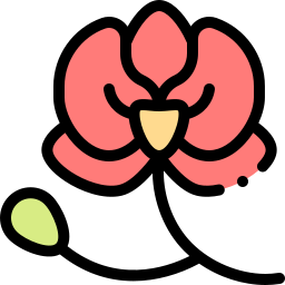 orchidee icon