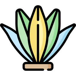 seetang icon