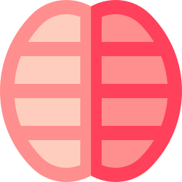 Brain icon