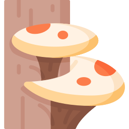 paddestoelen icoon