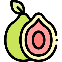 Guava icon