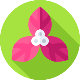 Flowers icon