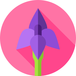 Flowers icon