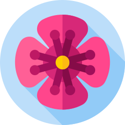 Flowers icon