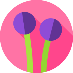 Flowers icon