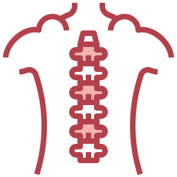 Spinal column icon