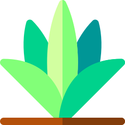 gras icon