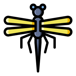 Dragonfly icon