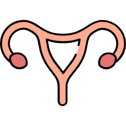 Uterus icon