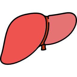 Liver icon