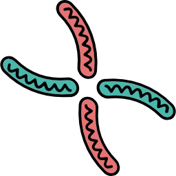 Dna icon